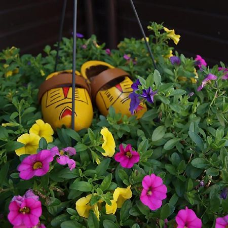 B&B Hulleste Westerland Buitenkant foto