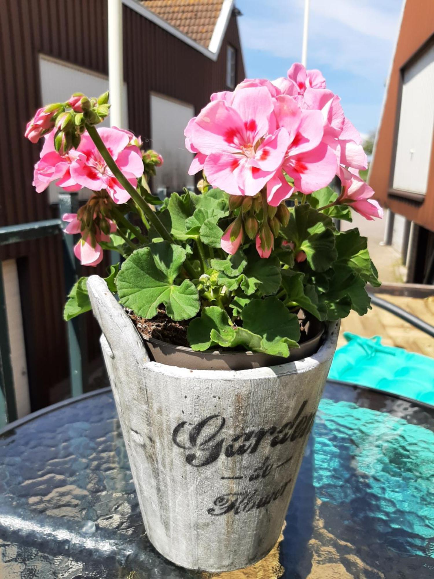 B&B Hulleste Westerland Buitenkant foto